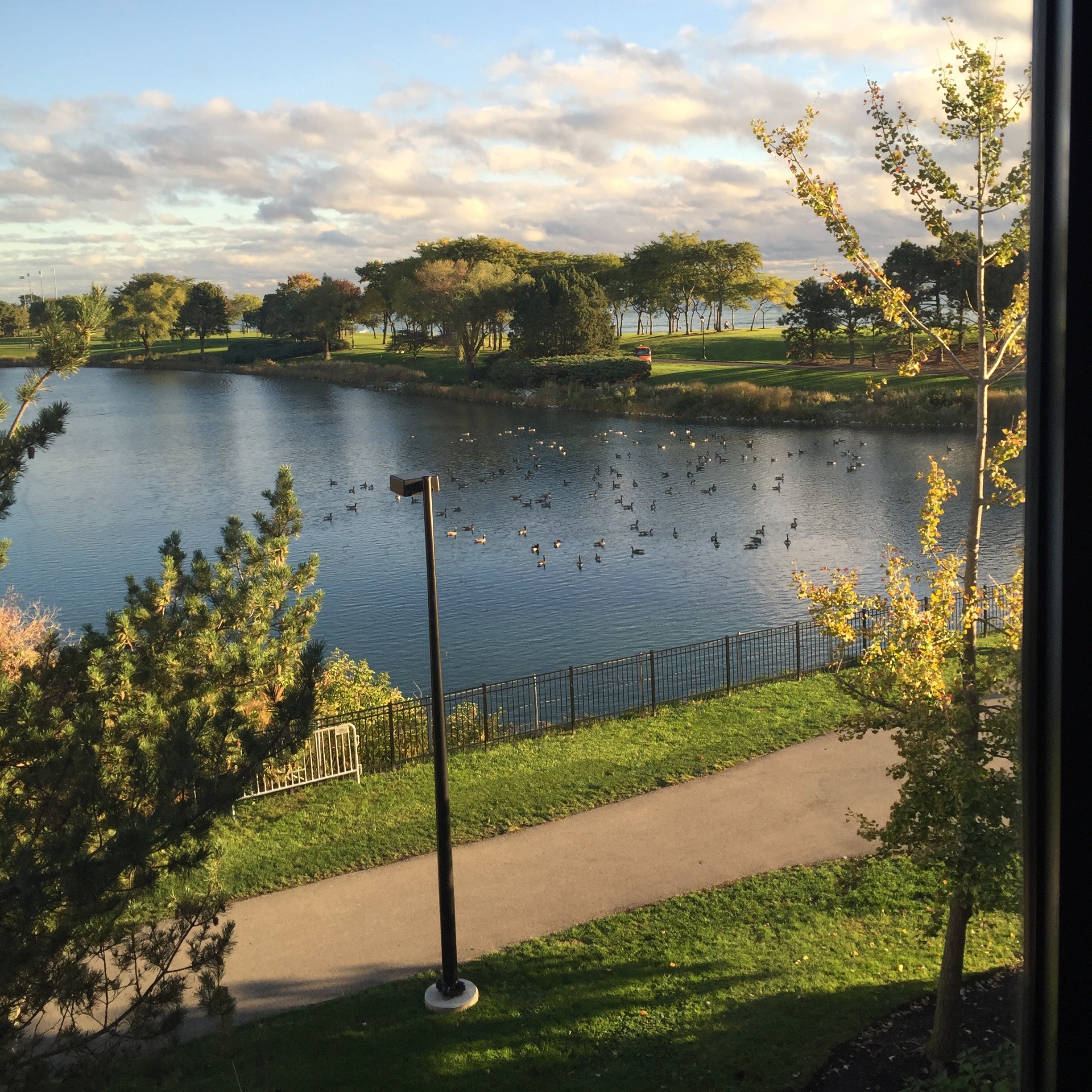 A lagoon on Northwestern's campus during the springtime