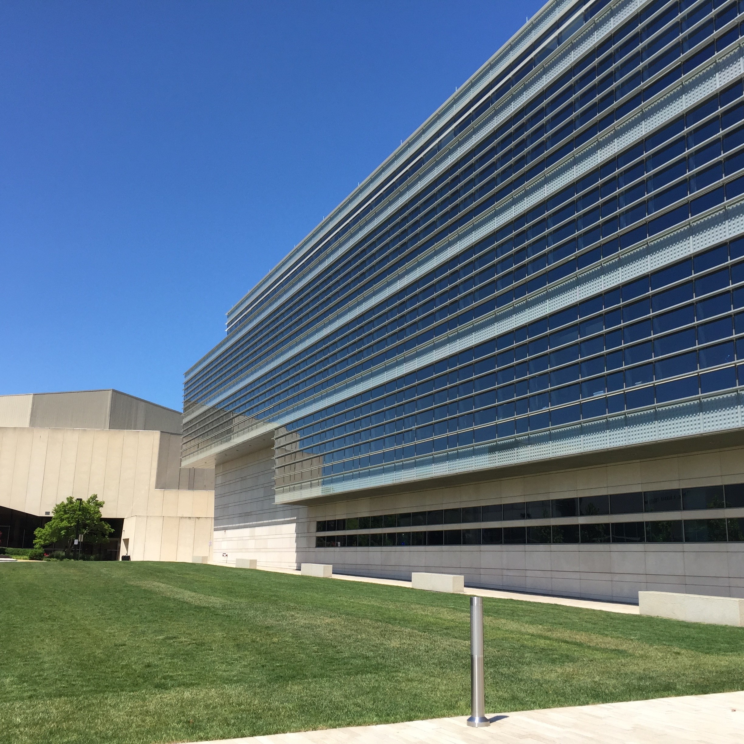 The lawn in front of the Ryan Center.